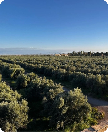 Vue depuis le lieu